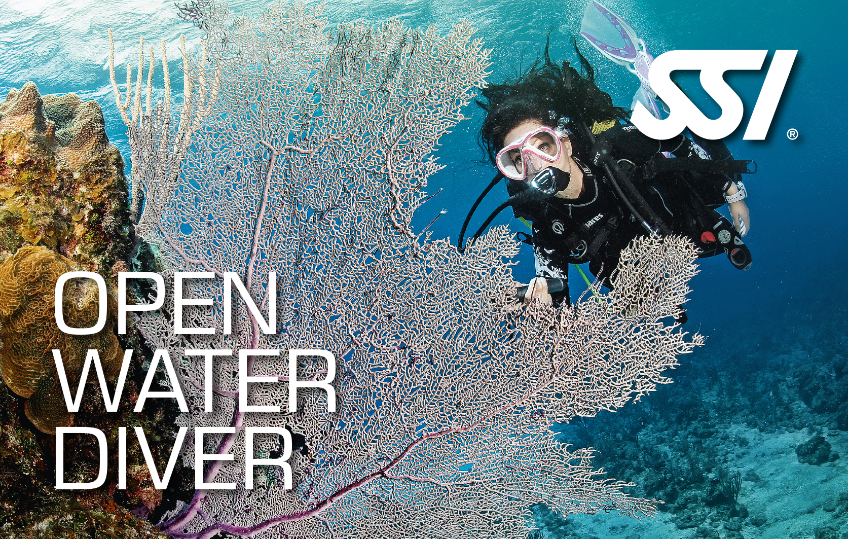 open water duiker