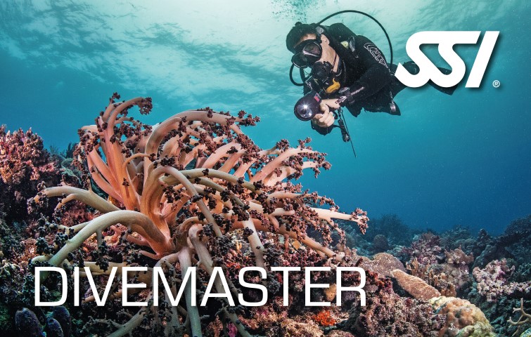SSI Dive Master